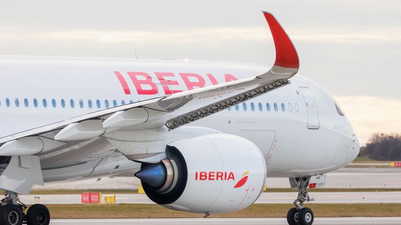 Iberia airline company